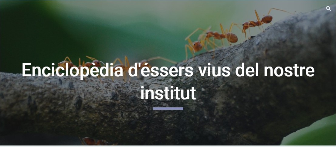 Enciclopèdia d'Éssers Vius a l'Institut